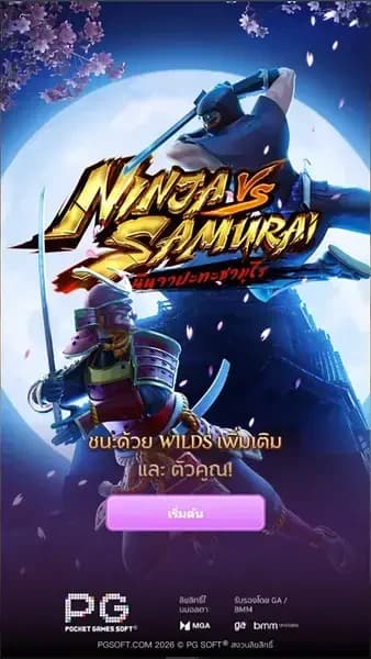รายละเอียดเกม 1