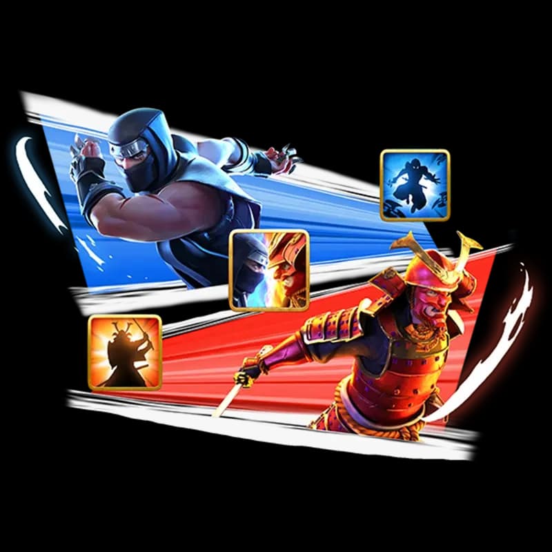 Ninja vs Samurai