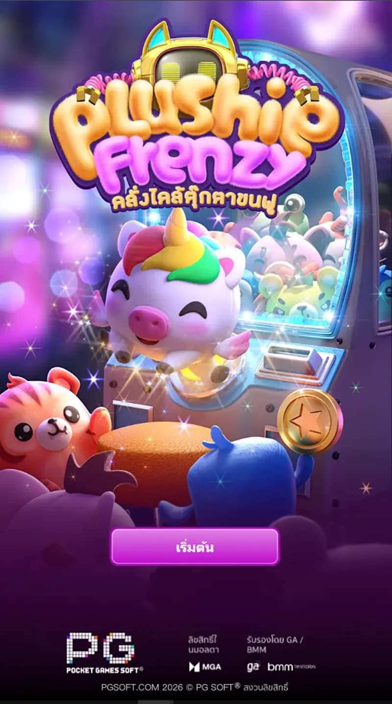 รายละเอียดเกม 1