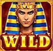 Wild 1