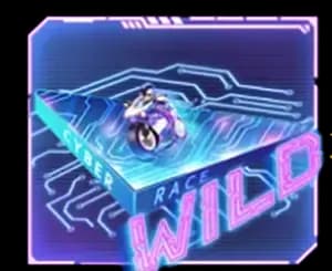 สัญลักษณ์ตัวคูน Multiplier-Ways Symbol 1