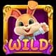 LuckyBunny สัญลักษณ์ 3