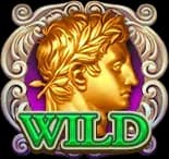 ไวลด์ 1