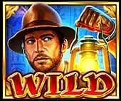 WILD 1
