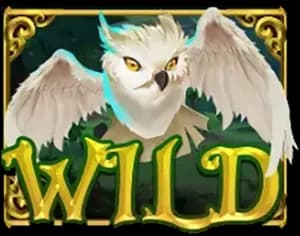 สัญลักษณ์ตัวคูน Multiplier-Ways Symbol 1