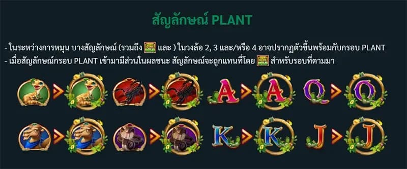 อัตราการจ่ายเงินรางวัลสูงสุด (Maximum Win) 1