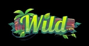 สัญลักษณ์ตัวคูน Multiplier-Ways Symbol 1