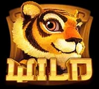 Master Tiger สัญลักษณ์ 3