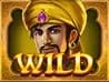 สัญลักษณ์ Wild 1