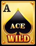 Wild Ace สัญลักษณ์ 3