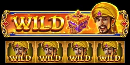 สัญลักษณ์ Wild 2