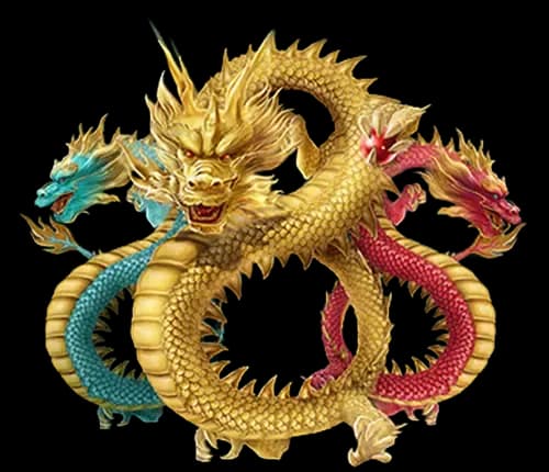 ภาพข้อมูล Dragon 8