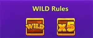 ฟรีสปินฟีเจอร์ Free Spins Feature 1