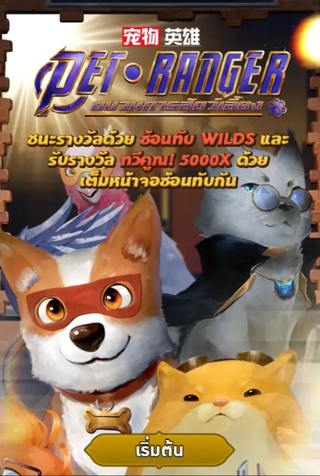 PET RANGER ภาพเกม 1
