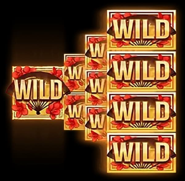 ฟรีสปินฟีเจอร์ Free Spins Feature 1