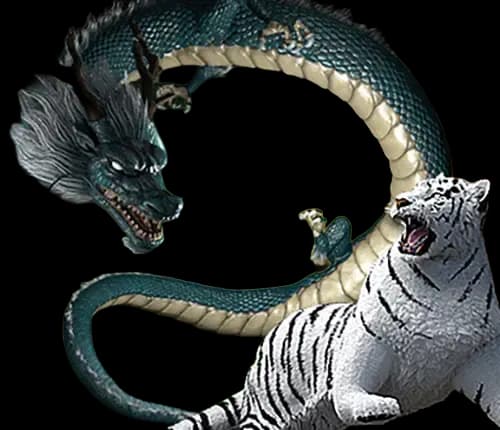 ภาพข้อมูล DragonTiger