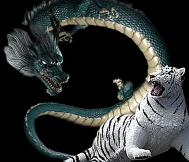 โลโก้ DragonTiger