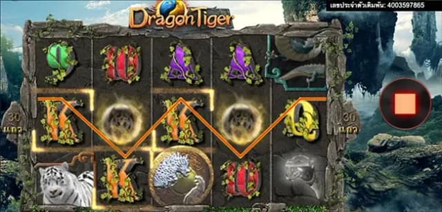 DragonTiger ภาพเกม 3