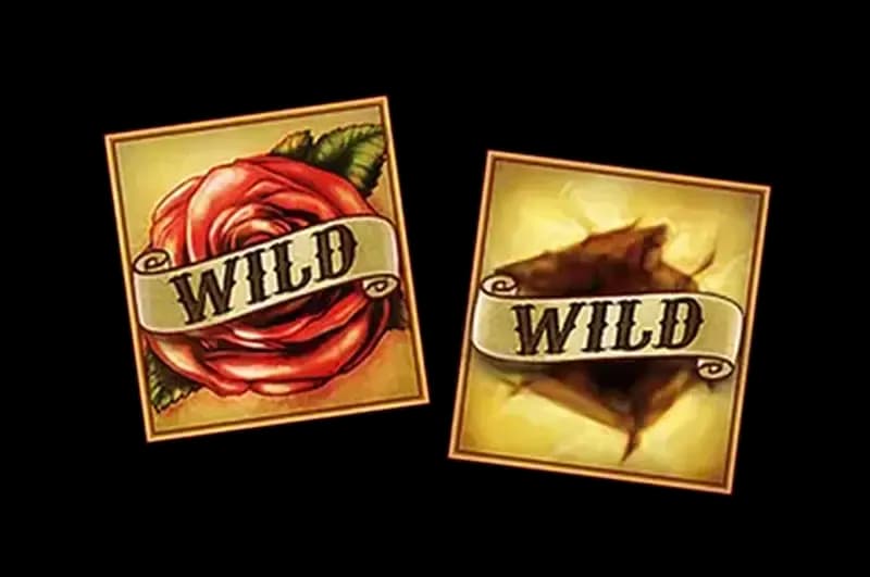 ฟรีสปินฟีเจอร์ Free Spins Feature 1
