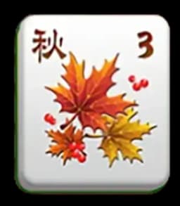 Mahjong King สัญลักษณ์ 5
