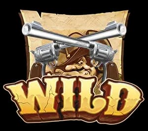 สัญลักษณ์ตัวคูน Multiplier-Ways Symbol 1