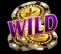 Playboy Fortunes สัญลักษณ์ 3
