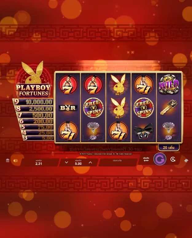 รายละเอียดเกม 1