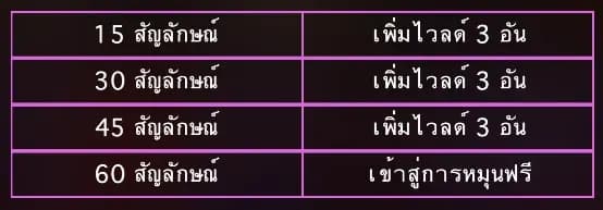 มิเตอร์ไวลด์ 2