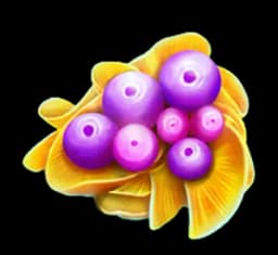 FRUITOIDS สัญลักษณ์ 4