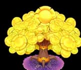 ZUMA’S HONOR สัญลักษณ์ 4