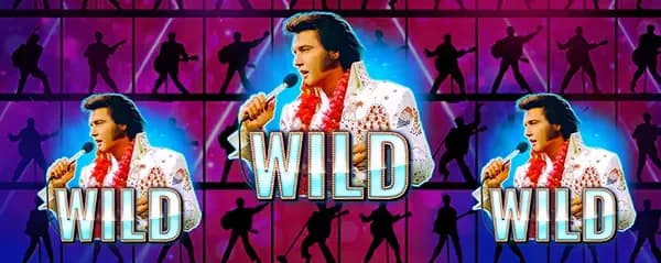 Wild 1
