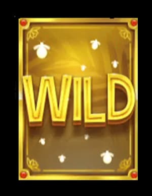 สัญลักษณ์ตัวคูน Multiplier-Ways Symbol 1