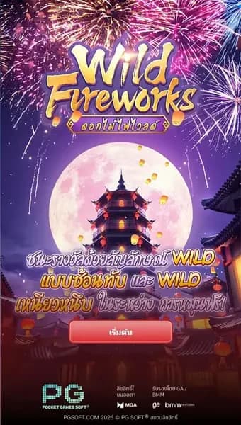 Wild Fireworks ภาพเกม 7