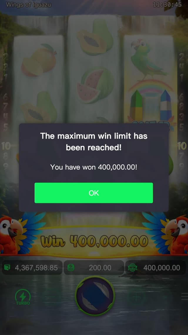 Wings of Iguazu ภาพเกม 1