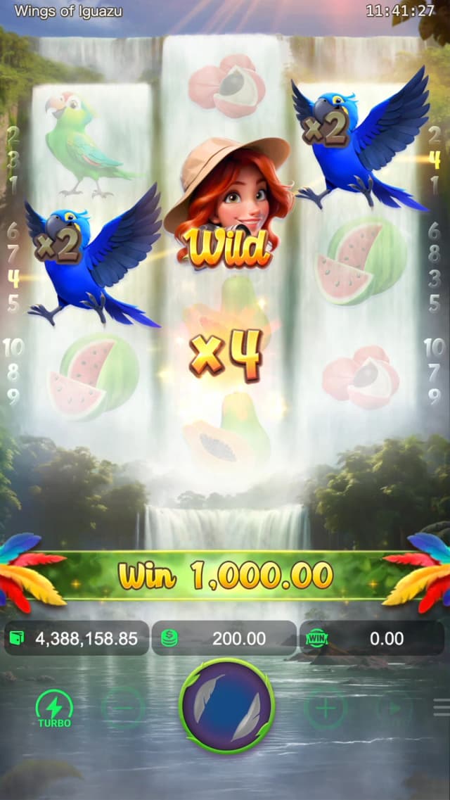 Wings of Iguazu ภาพเกม 6