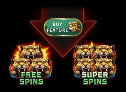 Feature Buy 1